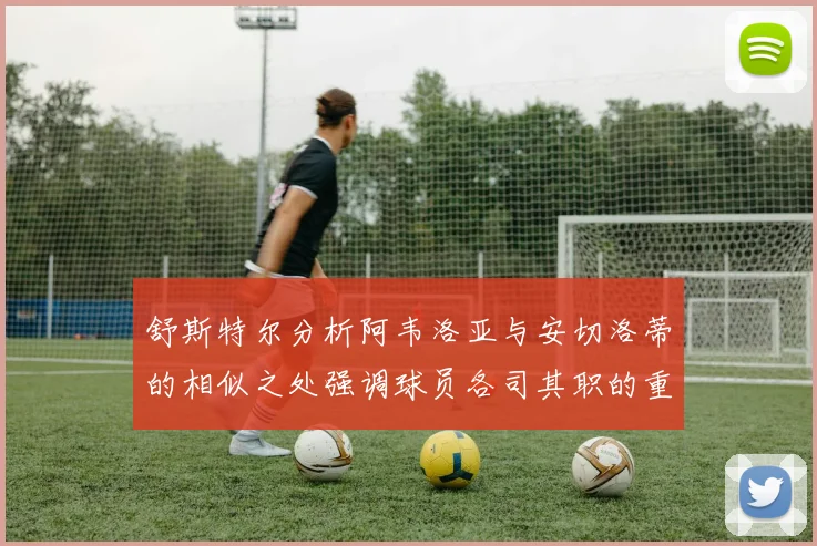舒斯特尔分析阿韦洛亚与安切洛蒂的相似之处强调球员各司其职的重要性